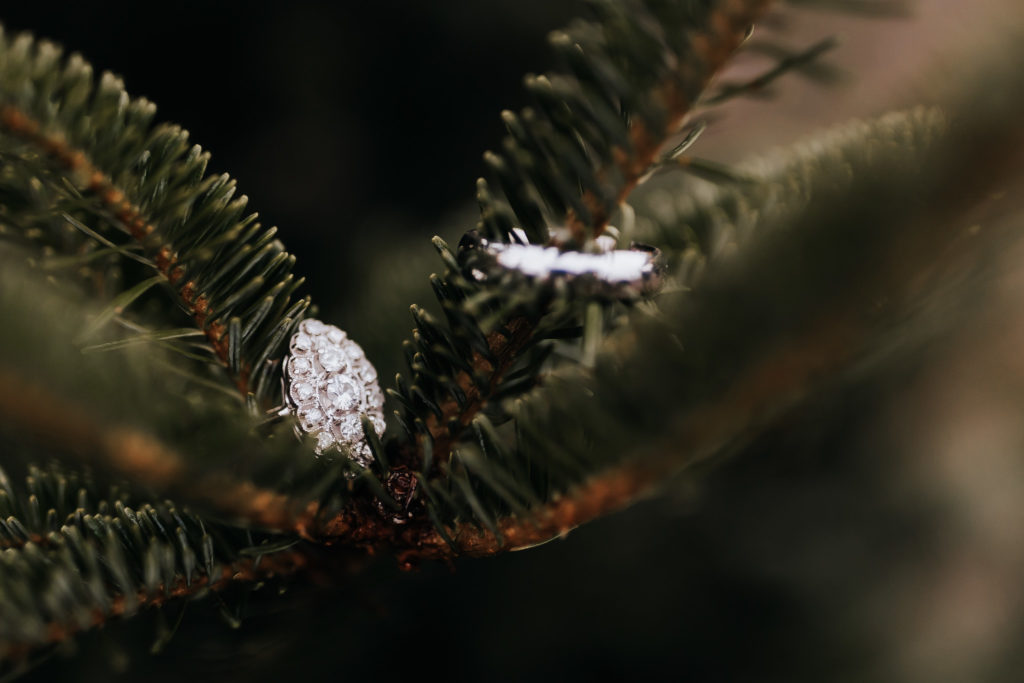 Detail shot of an engagement ring and a wedding band. Christmas Tree Farm Elopement.