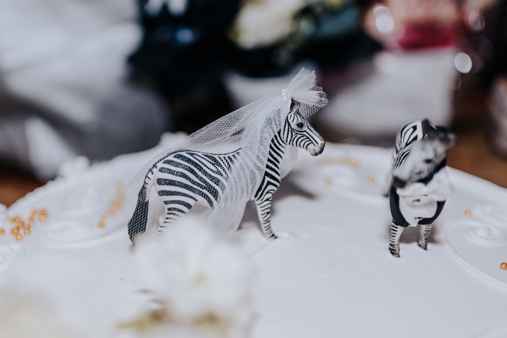 Nashville elopement photographer captures wedding cake toppers of zebras wearing wedding attire