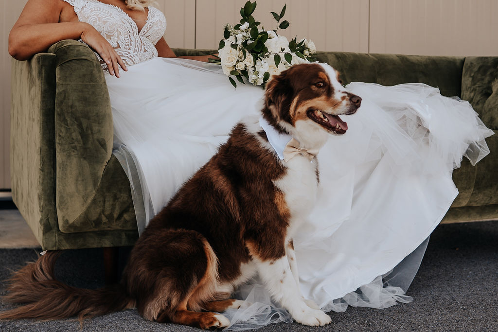 Nashville elopement photographer captures bride with dog during bridal portraits