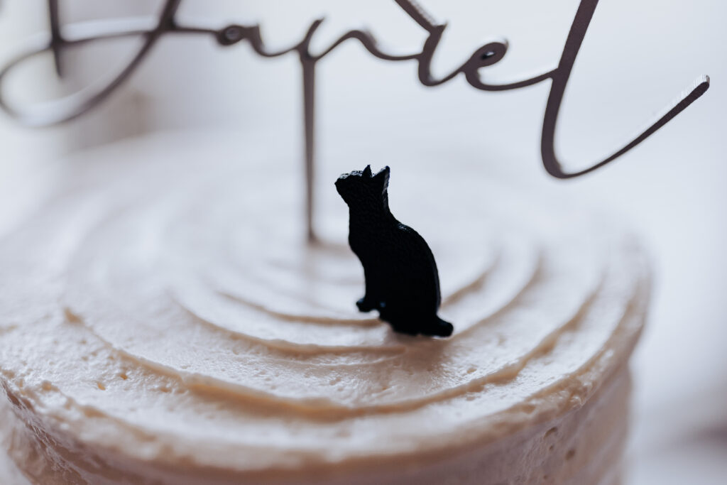 Nashville elopement photographer captures cake topper of cat as a way to include pets in Nashville wedding