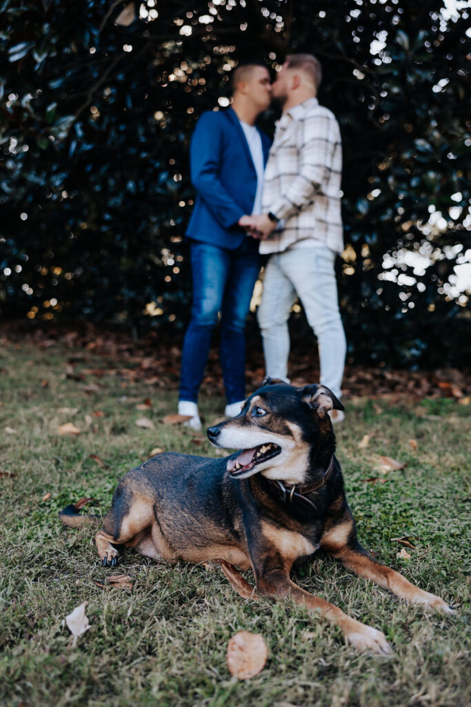 Nashville engagement photographer captures couple kissing with dog in front in front