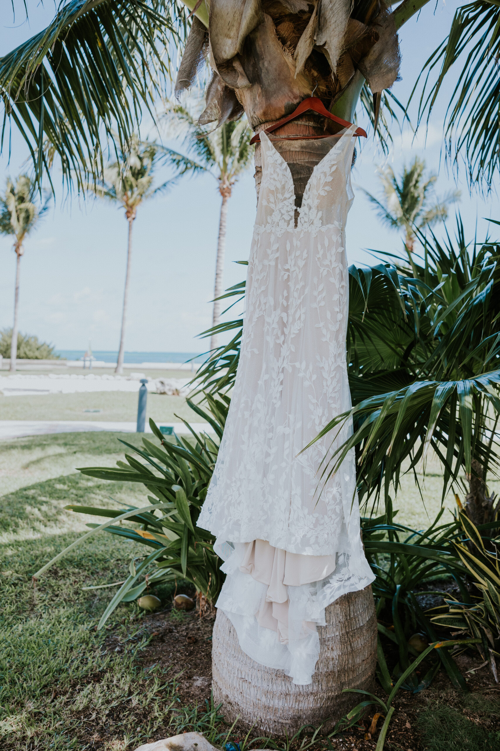 Bride’s lace gown hangs on a palm tree with the ocean in the background, a perfect symbol of a Mexico destination wedding.