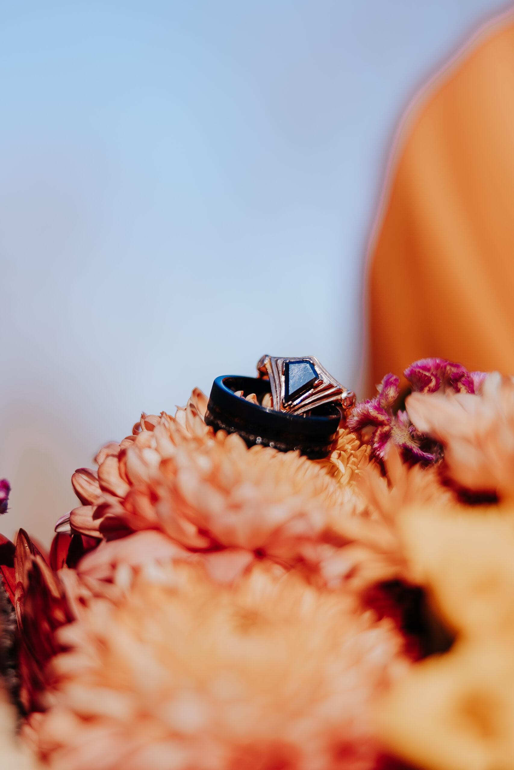 Close-up of black and geometric wedding rings nestled on orange mums, capturing bold fall details.