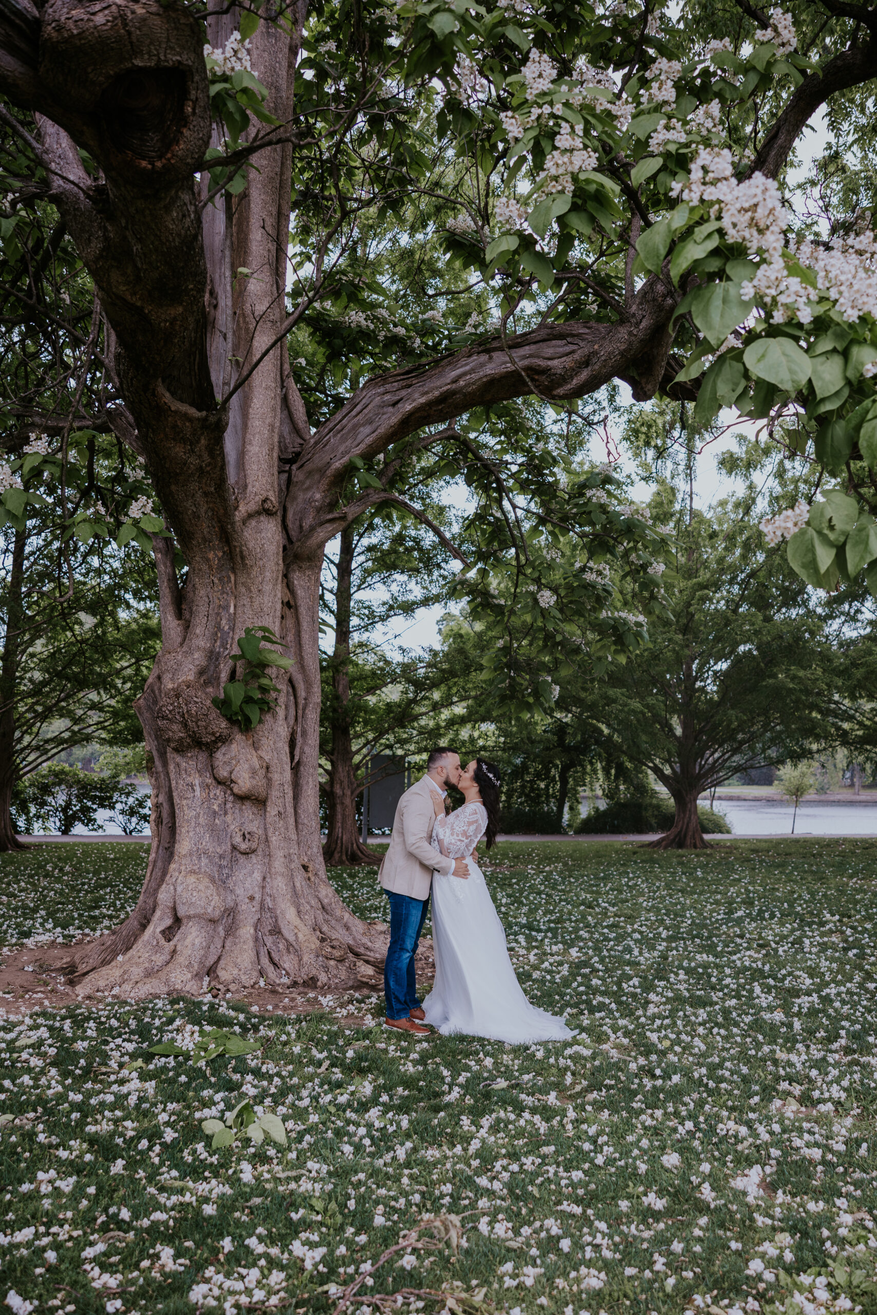 Bride and groom share a kiss under a flowering tree in a peaceful outdoor setting, beautifully framed by a travel wedding photographer.
